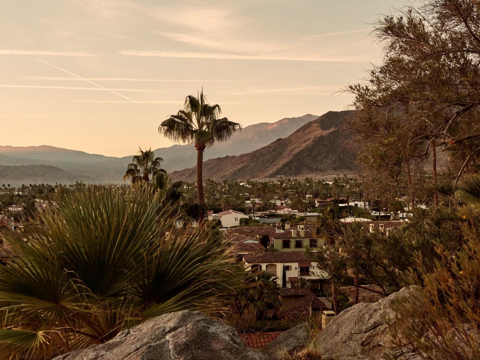 The Willows Palm Springs Exteriér fotografie