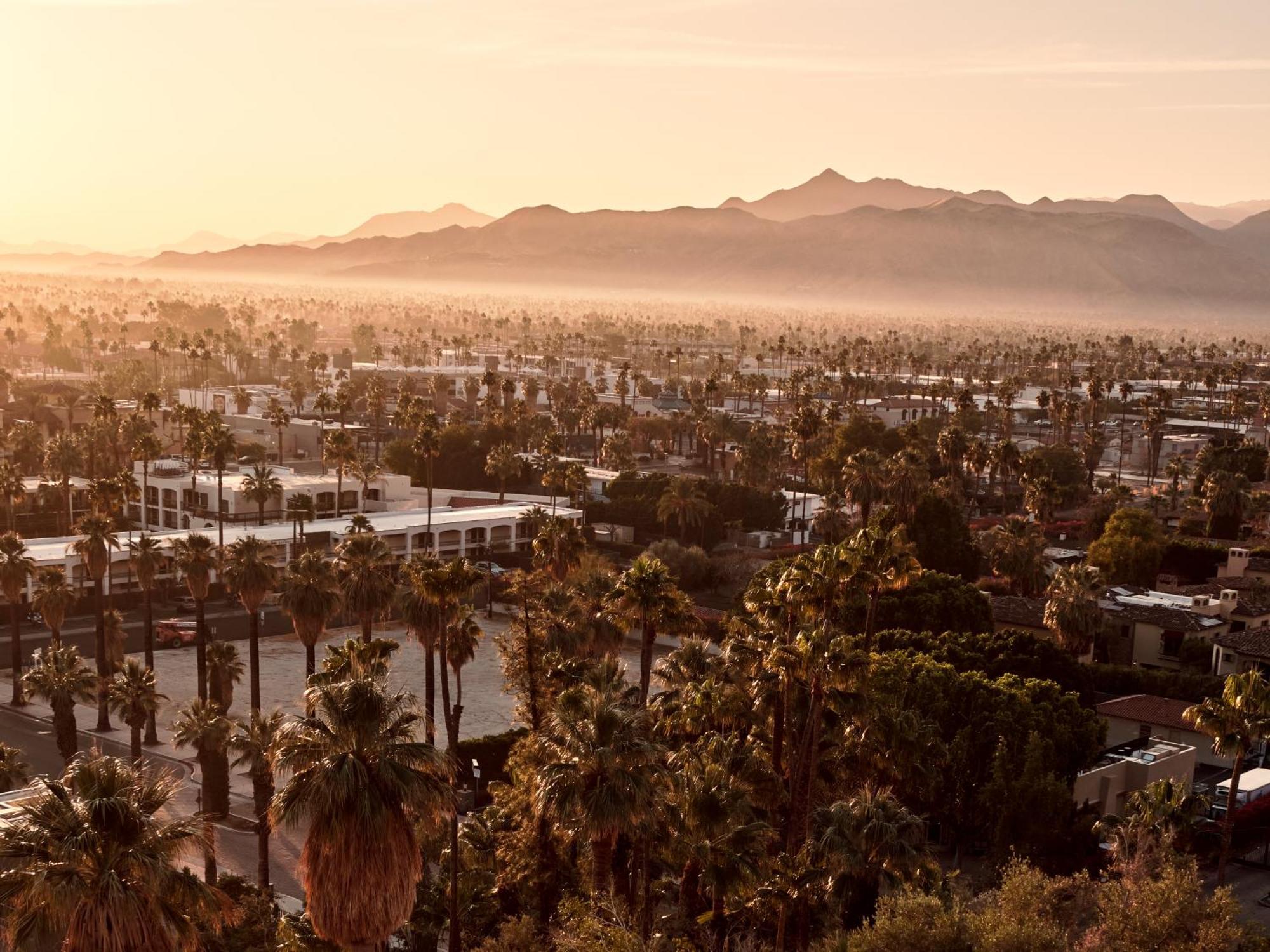 The Willows Palm Springs Exteriér fotografie