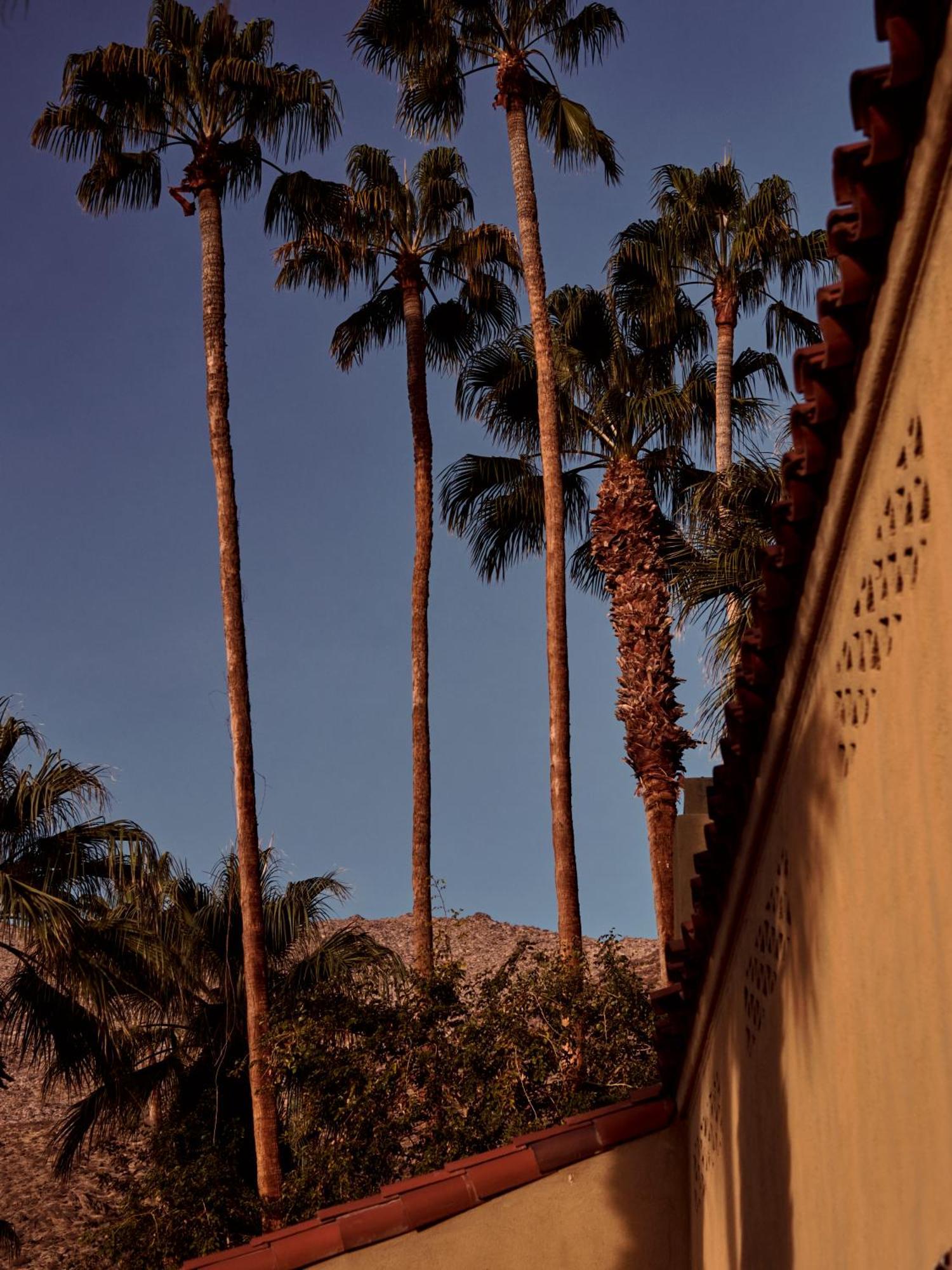 The Willows Palm Springs Exteriér fotografie