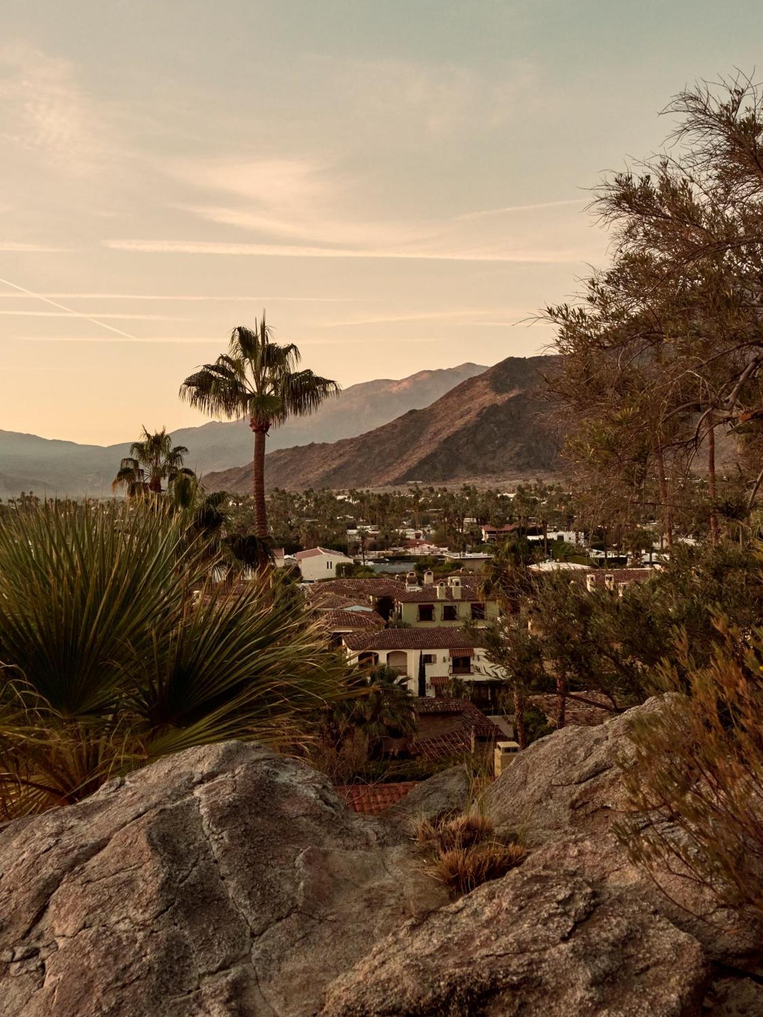 The Willows Palm Springs Exteriér fotografie